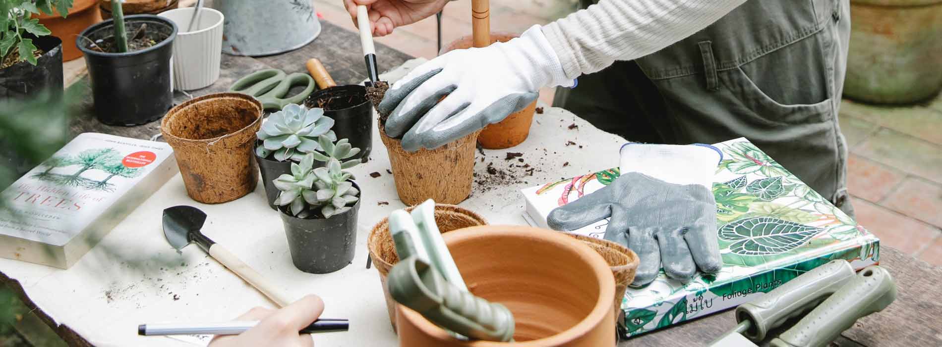 Horticultural therapy session